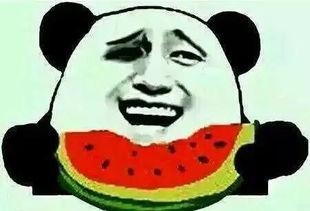 吃瓜群众小锦,揭秘娱乐圈那些事儿