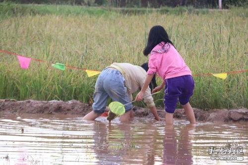 吃瓜摸鱼乐子人,吃瓜摸鱼，乐享生活
