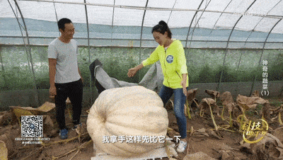 吃超级大瓜视频,超级大瓜视频带你领略明星幕后真相