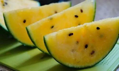 甘肃的吃瓜,探寻陇上美食之旅