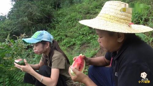 六嫂吃瓜,揭秘娱乐圈幕后故事