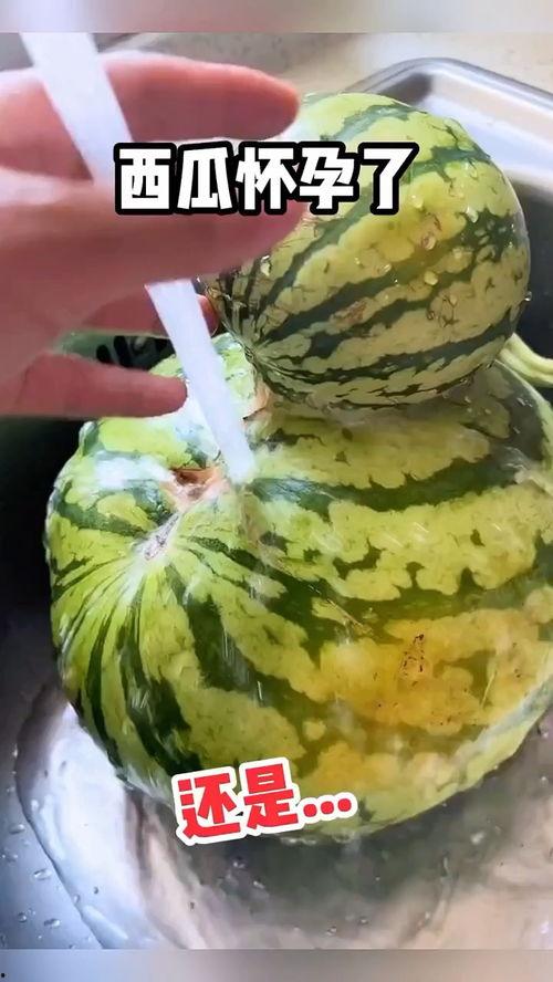 搞笑大师吃瓜视频,笑料百出，笑到肚子疼！