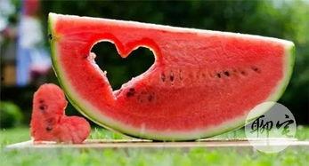 子乔吃瓜群众,吃瓜群众的美食之旅