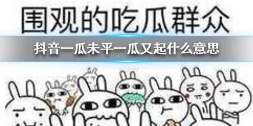 吃瓜先 抖音,抖音带你揭秘热门事件幕后真相