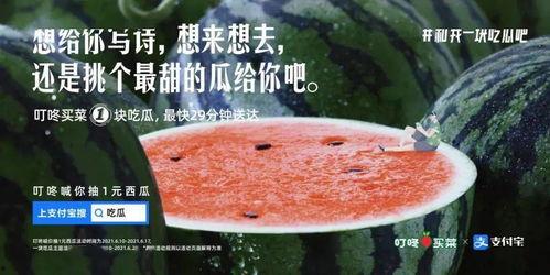 如何学习吃瓜文案,解锁网络热议新技能