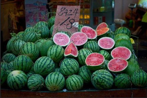 奉贤吃瓜,吃瓜也能吃出文化味