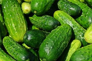 梦见吃清瓜,揭秘梦见吃清瓜的深层寓意