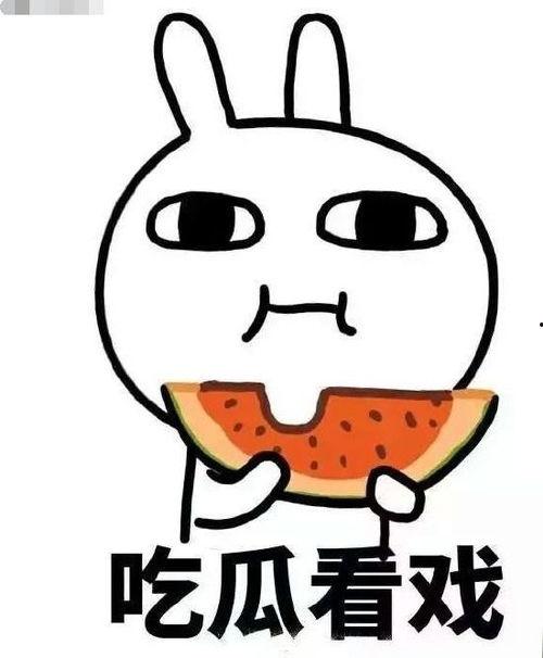 吃瓜派派,揭秘娱乐圈幕后故事