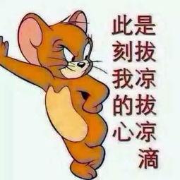 吃瓜群众美发图片,吃瓜群众演绎时尚发型秀