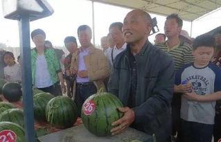 多余的人吃瓜群众,揭秘吃瓜群众的独特魅力