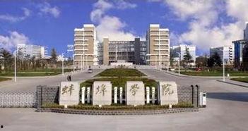 安徽蚌埠学院 吃瓜,揭秘校园里的‘吃瓜文化现象”