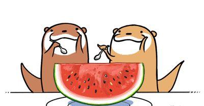 我要看吃瓜白卷,一场关于娱乐与真相的深度探讨