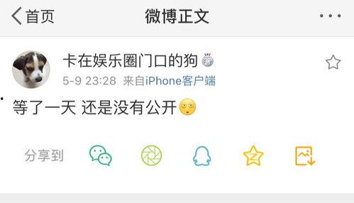 天堂吃瓜爆料,揭秘娱乐圈幕后真相