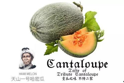 1比40吃瓜,揭秘1比40的独特吃瓜文化