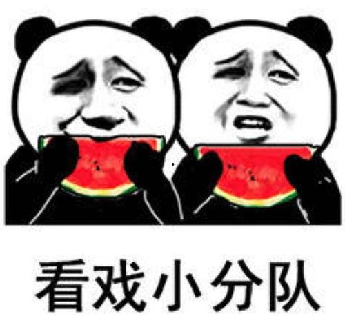 吃瓜大姐表情包