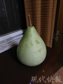 最新盐城吃瓜,揭秘背后惊人真相