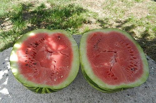 梦见有人在门前买瓜吃瓜,门前瓜香引出的神秘故事