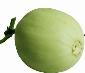 青梨瓜怎么吃,探索清新美味的新吃法