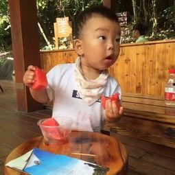 楼梯吃瓜的gif,捕捉日常趣味瞬间