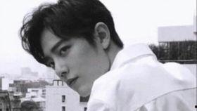 向左吃瓜第二弹,揭秘娱乐圈背后的秘密与真相