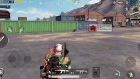 吃鸡le什么瓜,一场网络热传的神秘事件