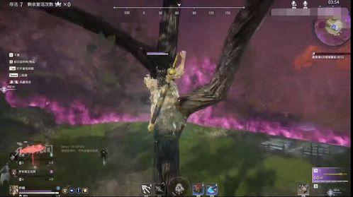 永劫直播吃瓜,吃瓜群众围观直播界的风云变幻