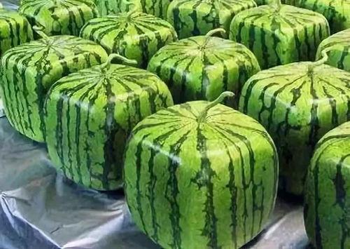 未知的我们吃瓜,揭秘“吃瓜群众”背后的社会现象与心理解读