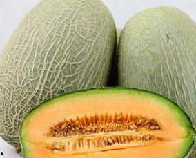 牙齿吃哈密瓜,哈密瓜的甜蜜考验