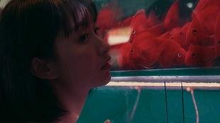 吃瓜少女最新视频,最新视频背后的惊人真相