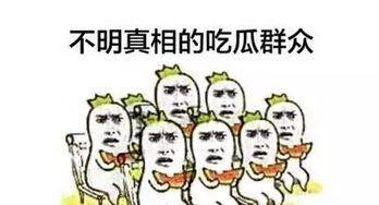 吃瓜群众 看看就好,轻松围观娱乐圈风云变幻