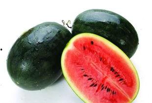 哈瓜群众吃瓜图片大全,趣味横生的欢乐时光