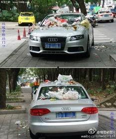 婚车吃瓜,揭秘婚礼现场的趣味瞬间