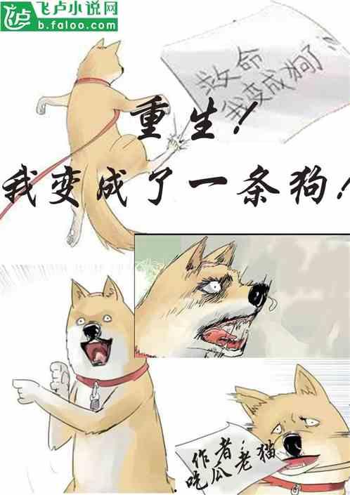 吃瓜百万小说在线阅读