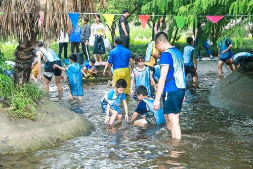 摸鱼吃瓜项目组