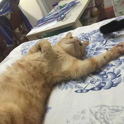 吃瓜心脏不舒服