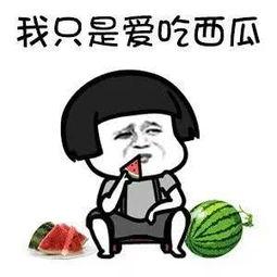 快乐吃瓜ing,揭秘娱乐圈幕后故事